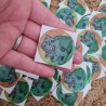 Cute Bulbasaur Sticker (Limited Edition)
