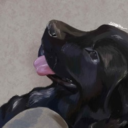 Custom Pet Portraits