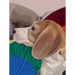 Custom Pet Portraits