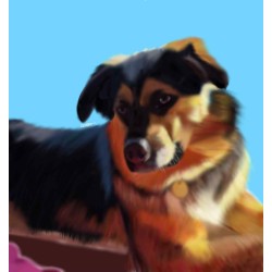 Custom Pet Portraits
